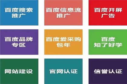 百度竞价推广经典案例解读