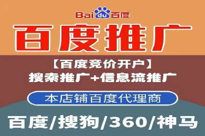 某行业巨头背后的SEM代运营服务公司